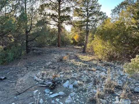 Big Bear Road, Mosca, CO 81146 photo 10