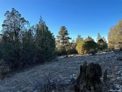 Big Bear Road, Mosca, CO 81146 photo 11