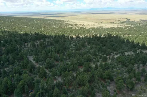 Big Bear Road, Mosca, CO 81146