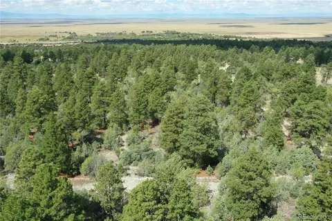 Big Bear Road, Mosca, CO 81146 photo 4