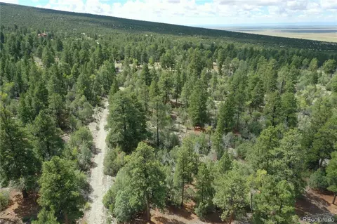 Big Bear Road, Mosca, CO 81146 photo 2