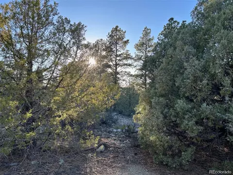 Big Bear Road, Mosca, CO 81146 photo 9