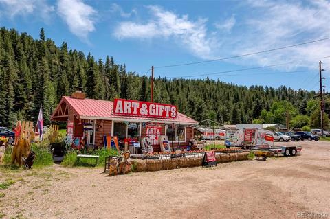 305 Virginia Rd #F, Bailey, CO 80421 photo 29