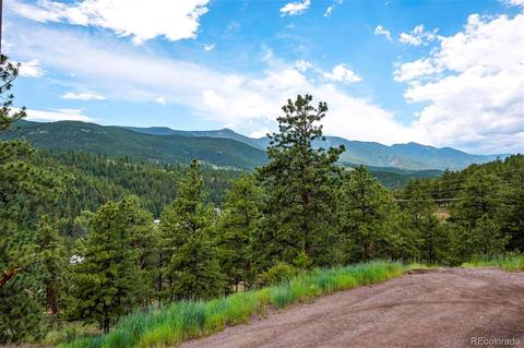 305 Virginia Rd #F, Bailey, CO 80421 photo 18