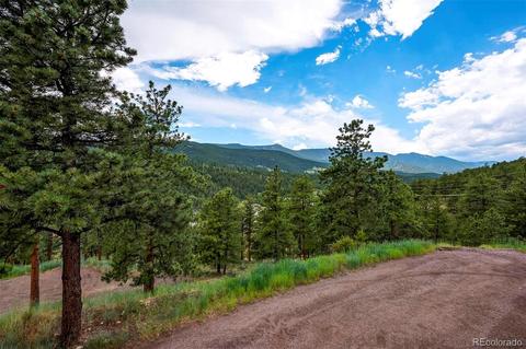 305 Virginia Rd #F, Bailey, CO 80421 photo 20
