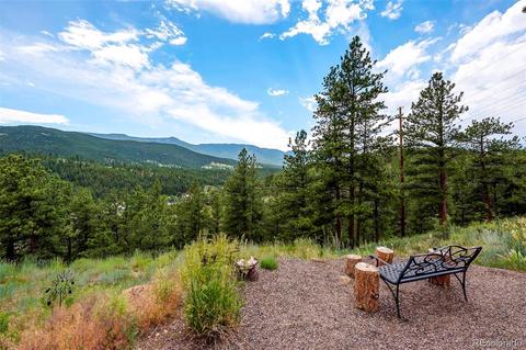 305 Virginia Rd #F, Bailey, CO 80421 photo 5