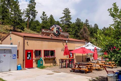 305 Virginia Rd #F, Bailey, CO 80421 photo 27