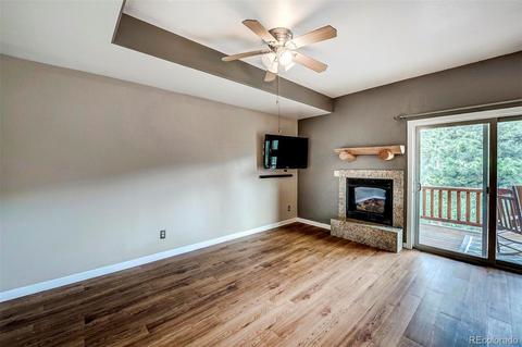 305 Virginia Rd #F, Bailey, CO 80421 photo 12