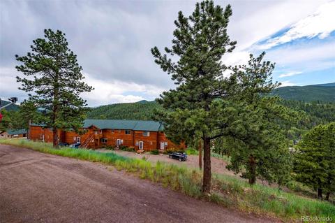 305 Virginia Rd #F, Bailey, CO 80421 photo 19