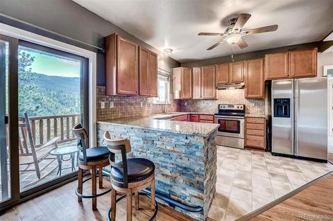 305 Virginia Rd #F, Bailey, CO 80421 photo 6
