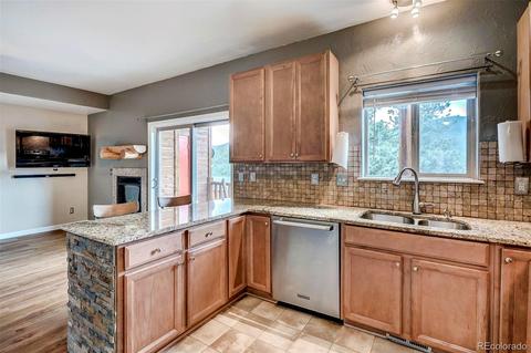 305 Virginia Rd #F, Bailey, CO 80421 photo 8