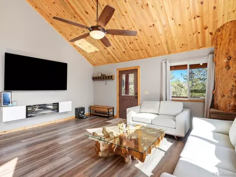 Living - 1592 S Pine Dr, Bailey, CO 80421 photo 1 of 5