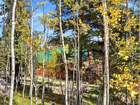 Exterior - 1592 S Pine Dr, Bailey, CO 80421 photo 12 of 12