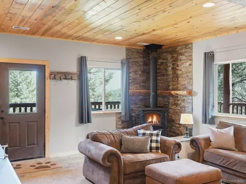 Living - 1592 S Pine Dr, Bailey, CO 80421 photo 3 of 5