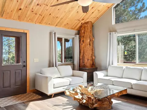 Living - 1592 S Pine Dr, Bailey, CO 80421 photo 2 of 5