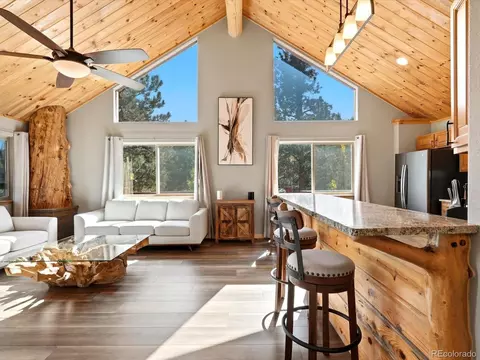 Other - 1592 S Pine Dr, Bailey, CO 80421 photo 3 of 7