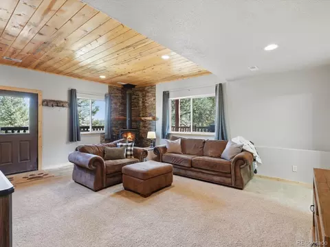 Living - 1592 S Pine Dr, Bailey, CO 80421 photo 4 of 5