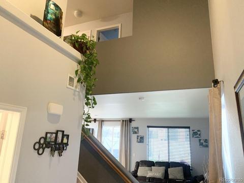 4784 Dunkirk St, Denver, CO 80249 photo 7