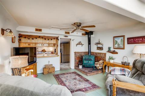 16744 County Road 126, Pine, CO 80470 photo 10