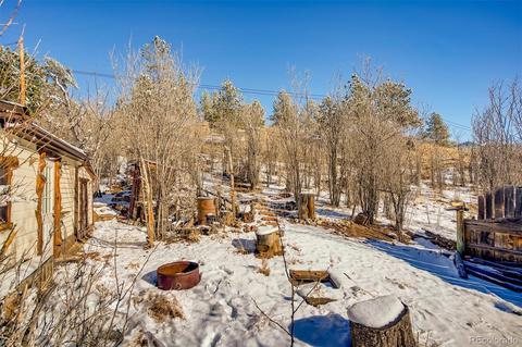 16744 County Road 126, Pine, CO 80470 photo 30