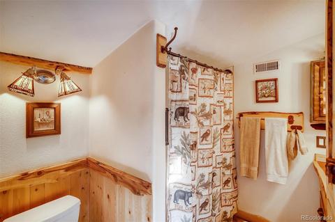 16744 County Road 126, Pine, CO 80470 photo 22
