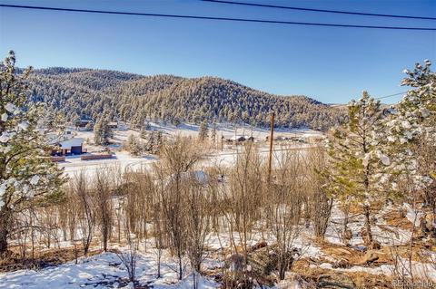 16744 County Road 126, Pine, CO 80470 photo 3