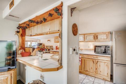 16744 County Road 126, Pine, CO 80470 photo 14