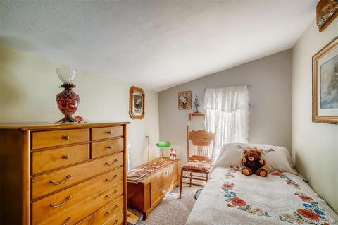 16744 County Road 126, Pine, CO 80470 photo 23