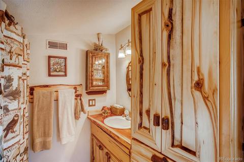 16744 County Road 126, Pine, CO 80470 photo 21
