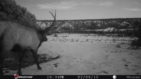 L26 Cl&g Unit Bb, Gardner, CO 81040 photo 7