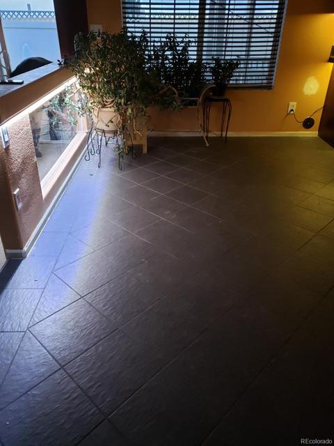 5504 Perth Ct, Denver, CO 80249 photo 11