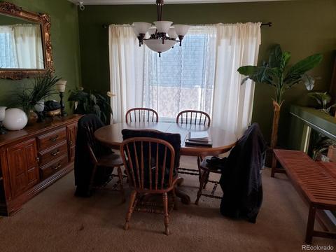 5504 Perth Ct, Denver, CO 80249 photo 5