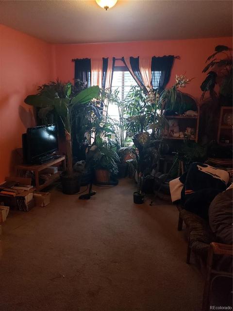 5504 Perth Ct, Denver, CO 80249 photo 23