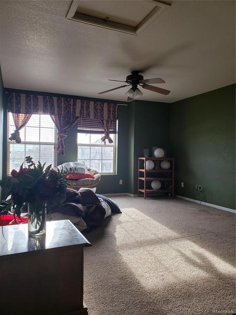 5504 Perth Ct, Denver, CO 80249 photo 18