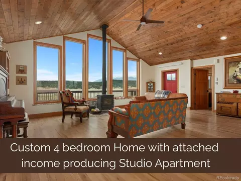 24240 River Meadow Dr, Buena Vista, CO 81211