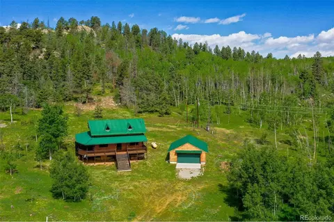 133 Vail Dr, Florissant, CO 80816