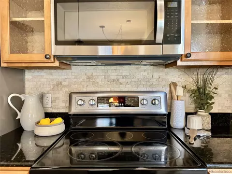 7777 E 23rd Ave #401, Denver, CO 80238 photo 8