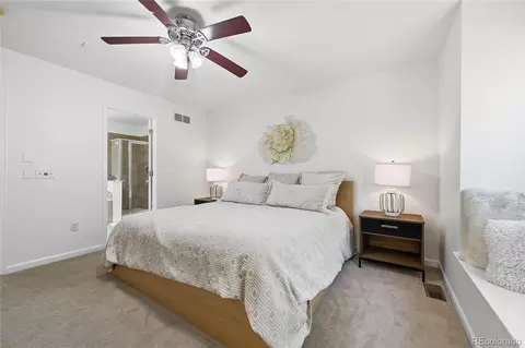 8727 E 29th Pl, Denver, CO 80238 photo 25