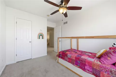 8727 E 29th Pl, Denver, CO 80238 photo 22