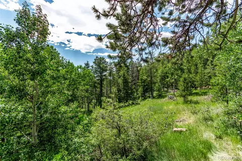 20223 Goins Dr, Morrison, CO 80465 photo 34