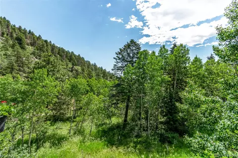 20223 Goins Dr, Morrison, CO 80465 photo 49