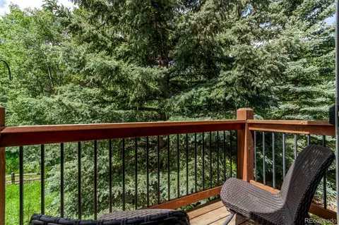 20223 Goins Dr, Morrison, CO 80465 photo 29