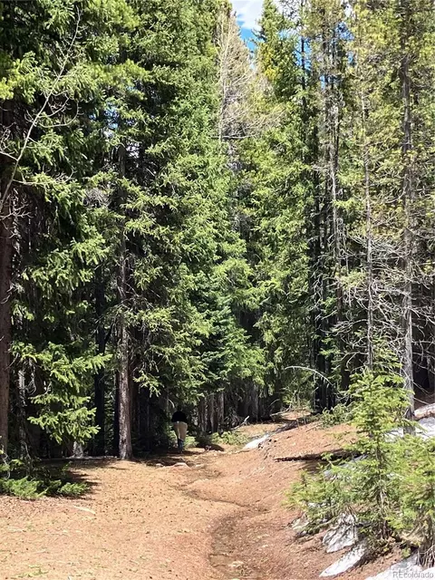 Fs 409.1 Road, Black Hawk, CO 80422