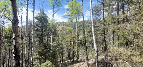 lot5610 Dawson Rd, Fort Garland, CO 81133