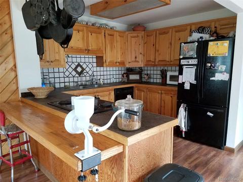 67 Gray St, Bailey, CO 80421 photo 7