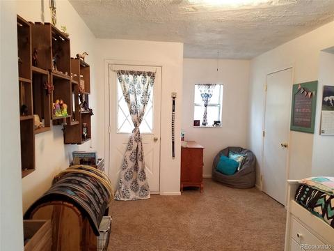 67 Gray St, Bailey, CO 80421 photo 19