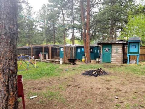 67 Gray St, Bailey, CO 80421 photo 24