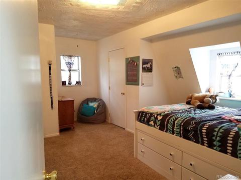 67 Gray St, Bailey, CO 80421 photo 18