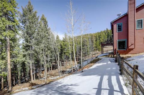 32251 Black Widow Dr, Conifer, CO 80433 photo 37