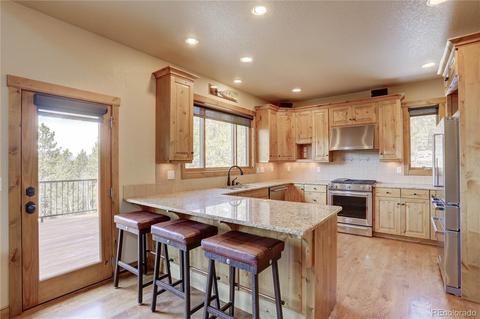 32251 Black Widow Dr, Conifer, CO 80433 photo 9